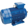Moteur électrique 3 kW UNIVERSEL EM100LB4B3500IE3A