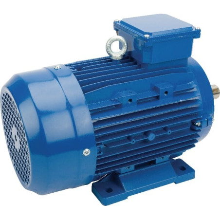 Moteur électrique 3 kW UNIVERSEL EM100LB4B3300IE3A