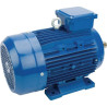 Moteur électrique 3 kW UNIVERSEL EM100LB4B3300IE3A