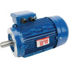 Moteur électrique 3 kW UNIVERSEL EM100LB4B14500IE3A
