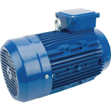 Moteur électrique 3 kW UNIVERSEL EM100LB4B14500IE3A