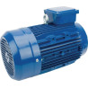 Moteur électrique 3 kW UNIVERSEL EM100LB4B14500IE3A