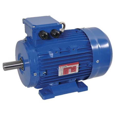 Moteur électrique 3 kW UNIVERSEL EM100L2B3500IE3AKR