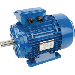 Moteur électrique 2,2 kW UNIVERSEL EM100LA4B3300IE3A