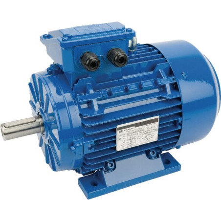 Moteur électrique 2,2 kW UNIVERSEL EM100LA4B3300IE3A