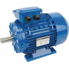 Moteur électrique 2,2 kW UNIVERSEL EM100LA4B3300IE3A