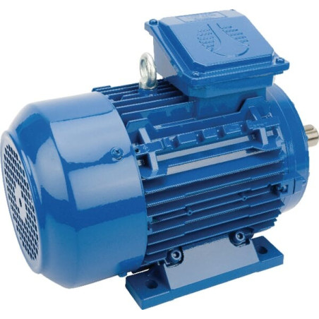 Moteur électrique 2,2 kW UNIVERSEL EM100LA4B3300IE3A