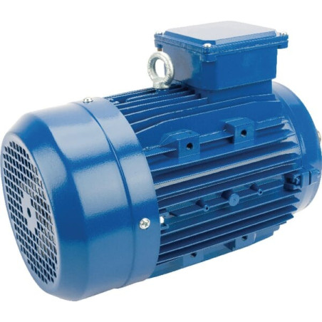Moteur électrique 2,2 kW UNIVERSEL EM100LA4B14300IE3A