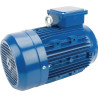 Moteur électrique 2,2 kW UNIVERSEL EM100LA4B14300IE3A