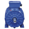 Moteur électrique 15 kW UNIVERSEL EM160MB2B3500IE3G