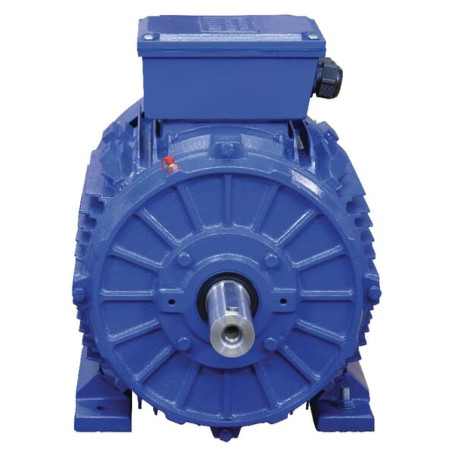 Moteur électrique 15 kW UNIVERSEL EM160L4B3500IE3GKR