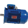 Moteur électrique 11 kW UNIVERSEL EM160L6B5500IE3GKR