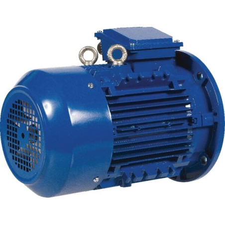 Moteur électrique 1,5 kW UNIVERSEL EM100L6B5300IE3AKR