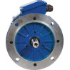Moteur électrique 1,5 kW UNIVERSEL EM100L6B5300IE3AKR