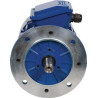 Moteur électrique 0,75 kW UNIVERSEL EM80B4B5300IE3AKR