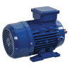 Moteur électrique 0,75 kW UNIVERSEL EM80A2B3300IE3AKR