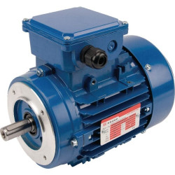 Moteur électrique 0,75 kW UNIVERSEL EM80A2B14300IE3AKR