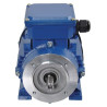 Moteur électrique 0,55 kW UNIVERSEL EM71B2B3B14300IE1A
