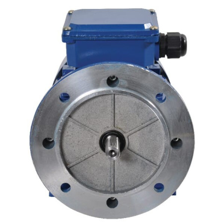 Moteur électrique 0,37 kW UNIVERSEL EM71B4B3B5300IE1A