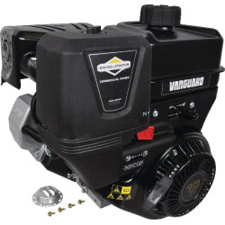 Moteur complet BRIGGS ET STRATTON 19L2370319F1