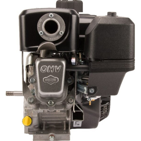 Moteur complet BRIGGS ET STRATTON 13L3320312F8
