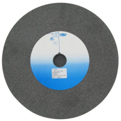 Meule 300x40x32mm TYROLIT 3004010A60