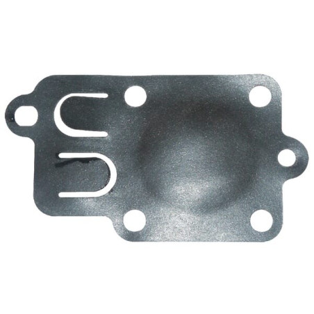 Membrane BRIGGS ET STRATTON 270026