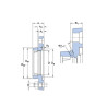 Logement de palier SKF FYTJ506