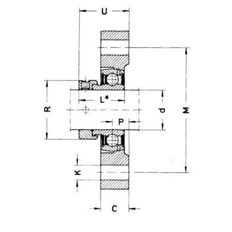 Logement de palier INA/FFAG GGLCTE08