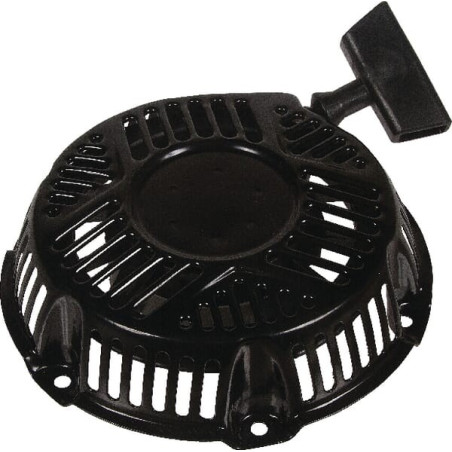 Lanceur BRIGGS ET STRATTON 797276