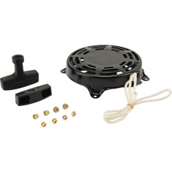 Lanceur BRIGGS ET STRATTON 697743