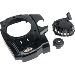 Lanceur BRIGGS ET STRATTON 595355