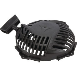 Lanceur BRIGGS ET STRATTON 593959