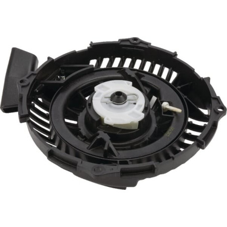 Lanceur BRIGGS ET STRATTON 593959
