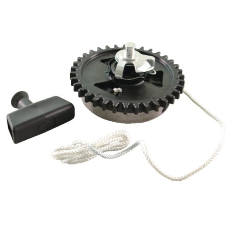 Lanceur BRIGGS ET STRATTON 490647