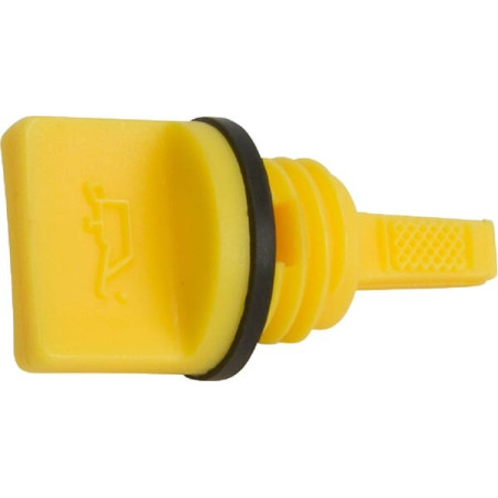 Joint et jauge BRIGGS ET STRATTON 798503