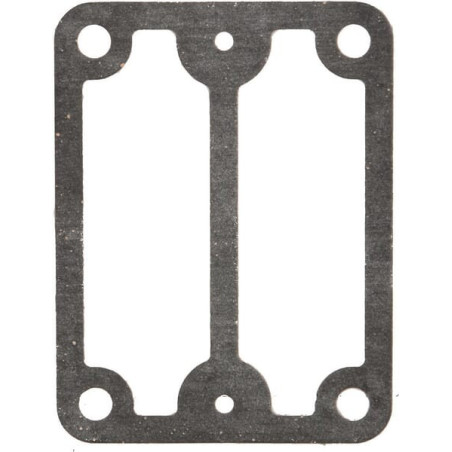 Joint de pompe BRIGGS ET STRATTON 693490