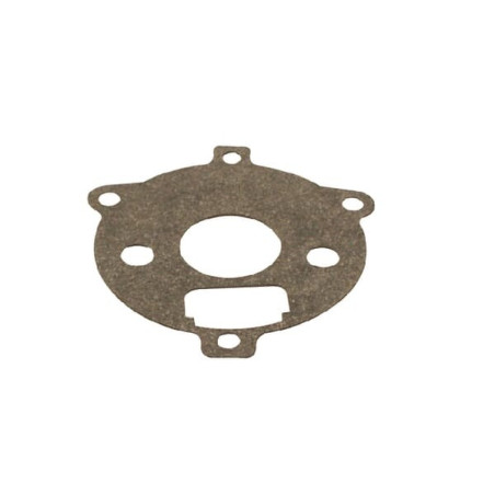 Joint de flotteur BRIGGS ET STRATTON 27918