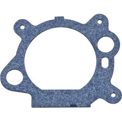 Joint de filtre BRIGGS ET STRATTON 795629