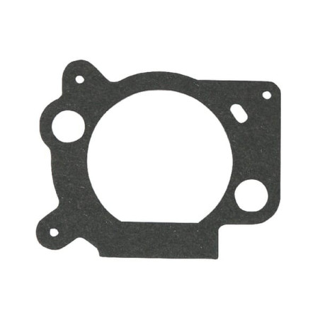Joint de filtre BRIGGS ET STRATTON 691894