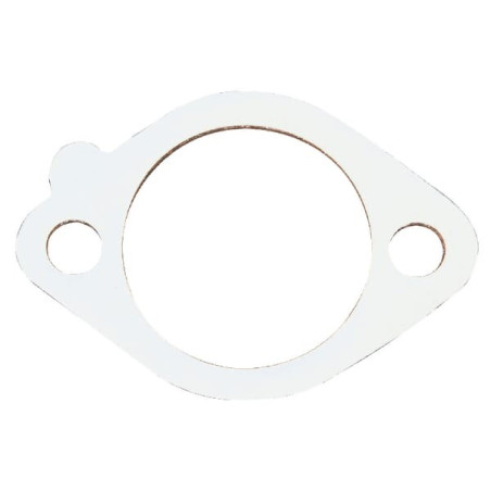 Joint de filtre BRIGGS ET STRATTON 272296