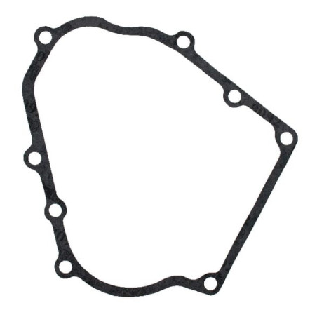 Joint de carter BRIGGS ET STRATTON 711174