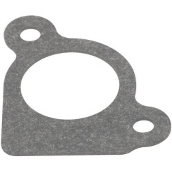 Joint d'admission BRIGGS ET STRATTON 794306