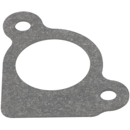Joint d'admission BRIGGS ET STRATTON 794306