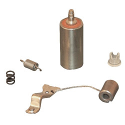 Jeu de vis platinées + condens BRIGGS ET STRATTON 294628