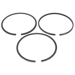 Jeu de segments -020 BRIGGS ET STRATTON 843822