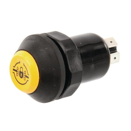 Interrupteur poussoir PNEUTRON 11245270PN