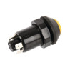 Interrupteur poussoir PNEUTRON 11245270PN