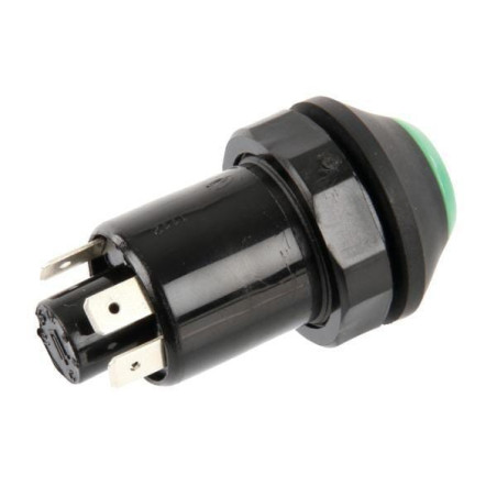 Interrupteur poussoir PNEUTRON 11245170PN