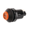 Interrupteur poussoir PNEUTRON 11210520PN